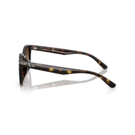 RAY-BAN RB4461D - 710/13