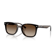 RAY-BAN RB4461D - 710/13