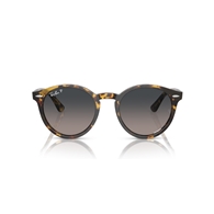RAY-BAN RB7680S - 1332GL LARRY
