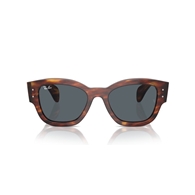 RAY-BAN RB7681S - 954/R5 JORGE