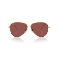 RAY-BAN RBR0101S - 001/69 AVIATOR REVERSE