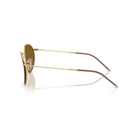 RAY-BAN RBR0103S - 001/83 ROUND REVERSE