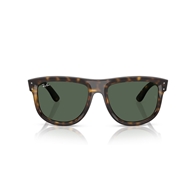 RAY-BAN RBR0501S - 6790VR BOYFRIEND REVERSE