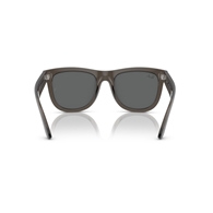 RAY-BAN RBR0502S - 6707GR WAYFARER REVERSE