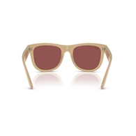 RAY-BAN RBR0502S - 678069 WAYFARER REVERSE