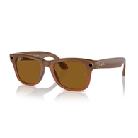 RAY-BAN META RW4008 - 670683 WAYFARER