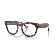 RAY-BAN  RX0298V - 8118 MEGA HAWKEYE