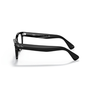 RAY-BAN  RX2201V - 2000 LARAMIE