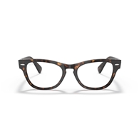 RAY-BAN RX2201V - 2012 LARAMIE