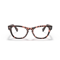 RAY-BAN  RX2201V - 8118 LARAMIE