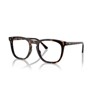 RAY-BAN  RX2210V - 2012