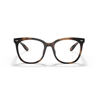RAY-BAN RX4379VD - 2012