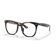 RAY-BAN  RX4379VD - 2012