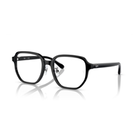 RAY-BAN  RX5424D - 2000