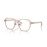 RAY-BAN  RX5424D - 8267