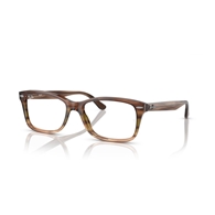 RAY-BAN  RX5428 - 8255