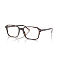 RAY-BAN  RX5431 - 2012 RAIMOND