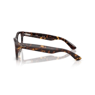 RAY-BAN  RX5510 - 2012