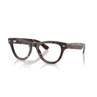 RAY-BAN  RX5510 - 2012