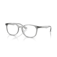 RAY-BAN  RX7093D - 8012