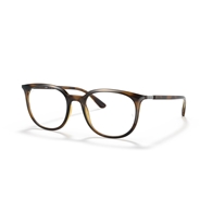 RAY-BAN  RX7190 - 2012