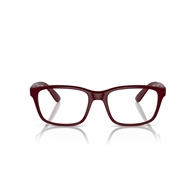 RAY-BAN RX7221M - F685