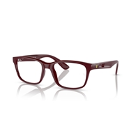 RAY-BAN  RX7221M - F685