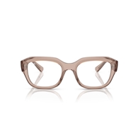 RAY-BAN  RX7225 - 8317 LEONID
