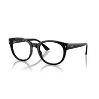 RAY-BAN  RX7227 - 2000