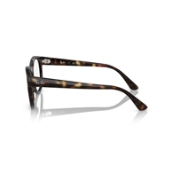 RAY-BAN  RX7227 - 2012