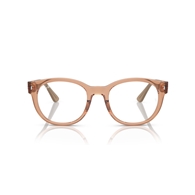 RAY-BAN  RX7227 - 8313