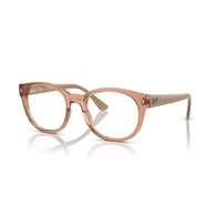 RAY-BAN  RX7227 - 8313