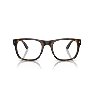 RAY-BAN  RX7228 - 2012