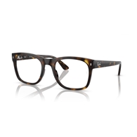RAY-BAN  RX7228 - 2012