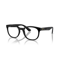 RAY-BAN  RX7231M - F684