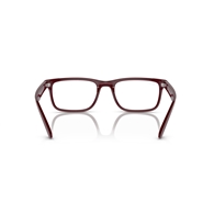 RAY-BAN RX7232M - F685