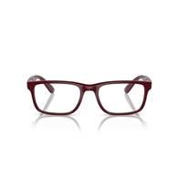RAY-BAN RX7232M - F685