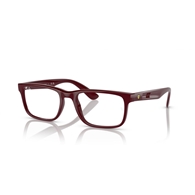 RAY-BAN  RX7232M - F685