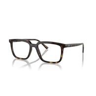 RAY-BAN  RX7239 - 2012 ALAIN