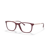 RAY-BAN  RX7244 - 8099