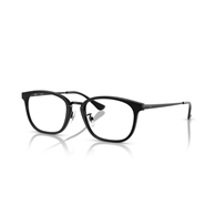 RAY-BAN  RX7247D - 2000