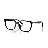 RAY-BAN  RX7248D - 2000