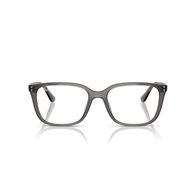RAY-BAN  RX7248D - 8257