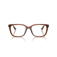 RAY-BAN  RX7248D - 8409