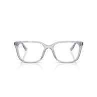 RAY-BAN  RX7248D - 8411