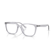 RAY-BAN  RX7248D - 8411