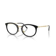 RAY-BAN  RX7255 - 2000
