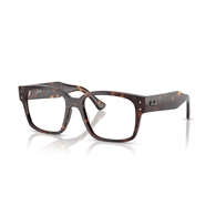 RAY-BAN  RX7256 - 8320 LAURENE
