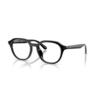 RAY-BAN  RX7259D - 2000
