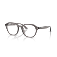 RAY-BAN  RX7259D - 8257